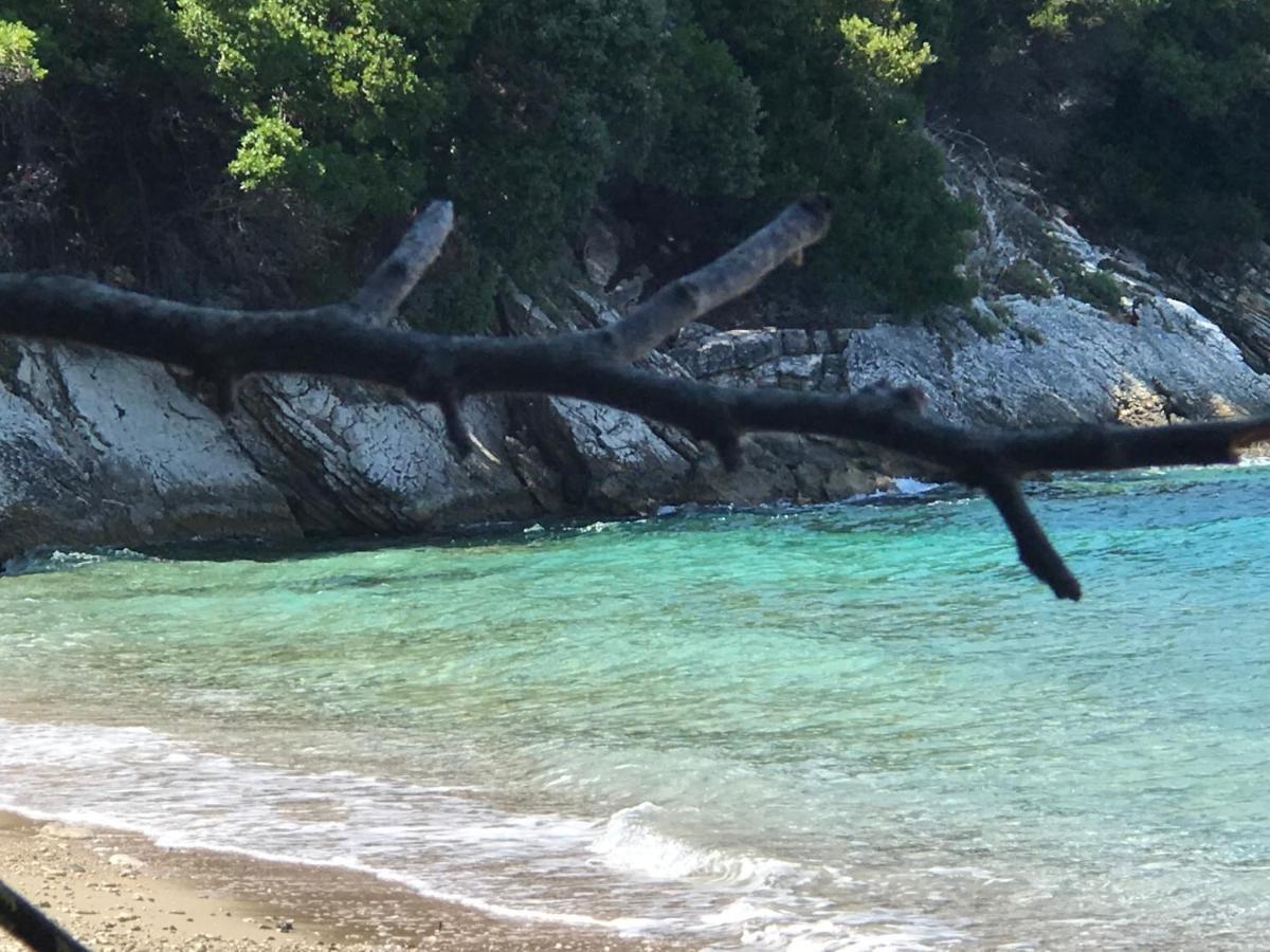 Maria Corfu Loustri